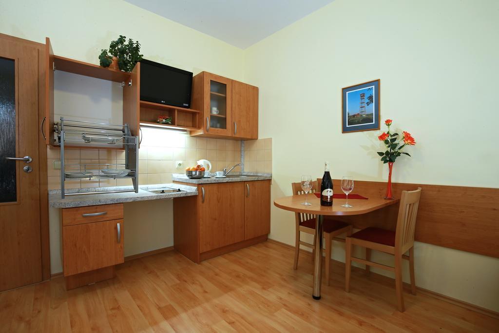 Wellness Penzion Pod Rozhlednou Kostelec nad Orlicí 객실 사진