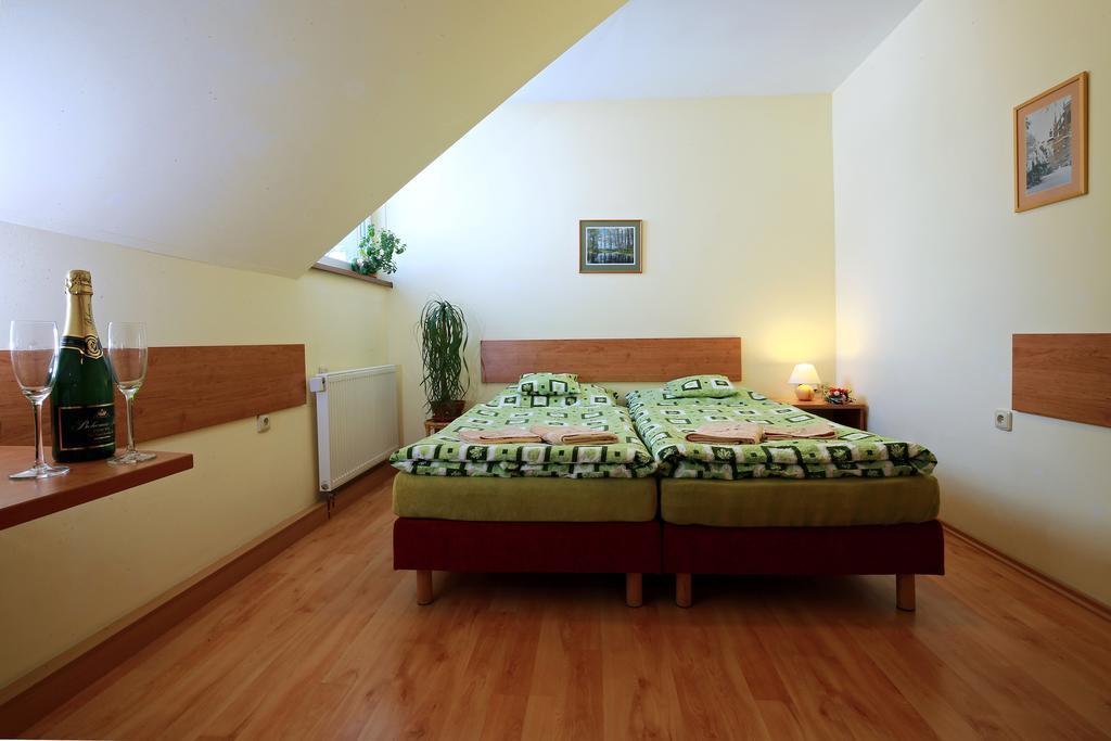 Wellness Penzion Pod Rozhlednou Kostelec nad Orlicí 객실 사진