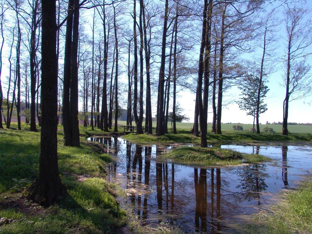 Wellness Penzion Pod Rozhlednou Kostelec nad Orlicí 외부 사진